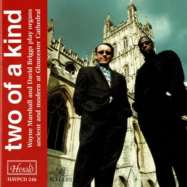 two of a kind by Wayne Marshall - album cover