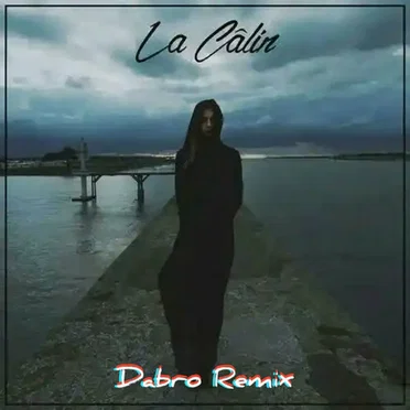 La Câlin (Dabro remix) by Sub Zer0 - album cover