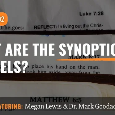 Misquoting Jesus with Bart Ehrman #102, “What Are the Synoptic Gospels?” by Bart D. Ehrman - album cover