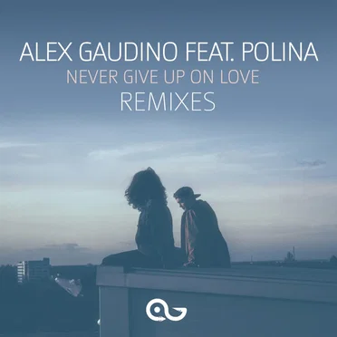 Never Give Up on Love (remixes)