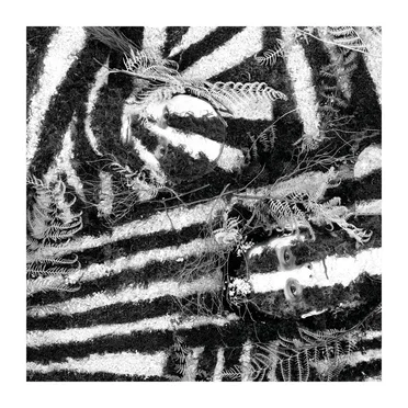 Razzle Dazzle by Blackbird Hill - album cover