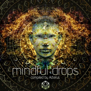 Mindful Drops by Various Artists - album cover