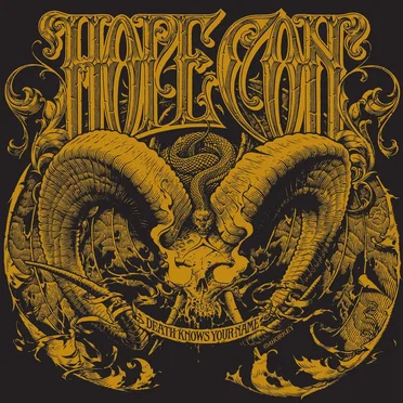 Death Knows Your Name by The Hope Conspiracy - album cover