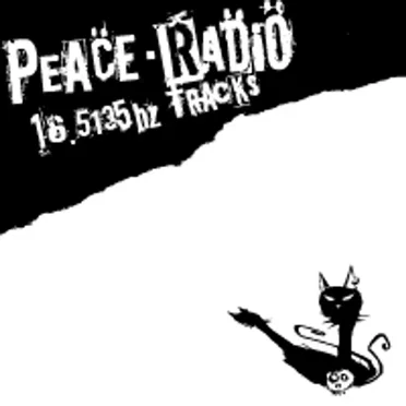 PEACE-RADIO 16.5135hz TRACKS by 高木フトシ - album cover