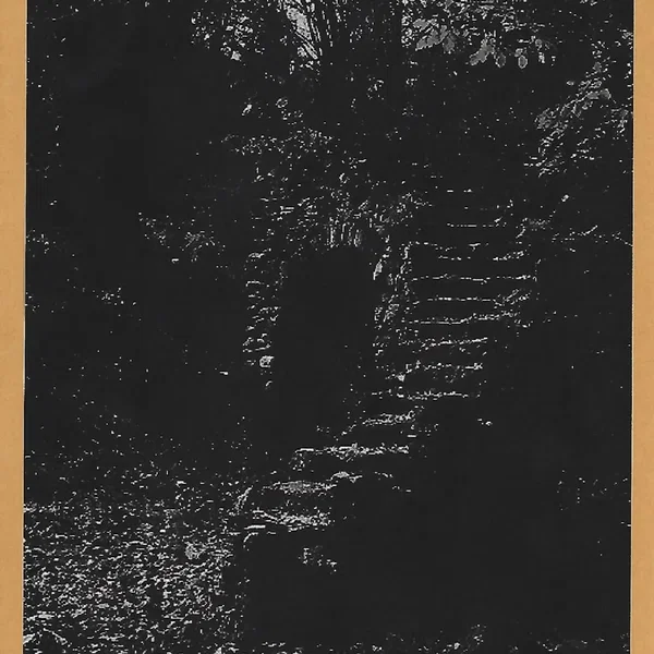 LP1