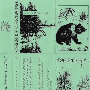 Lost Coniferous Castles by Forsaken Kingdoms - album cover