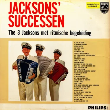 Jacksons' successen by The 3 Jacksons - album cover