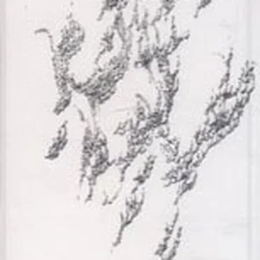 Drowner Yellow Swans