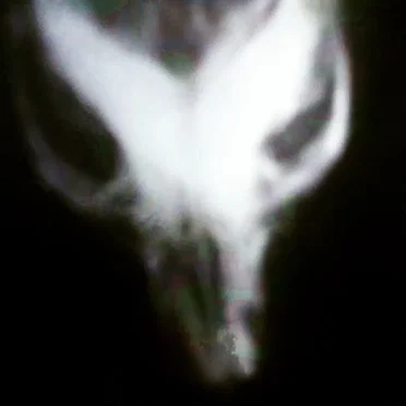 Simulation Sickness (Studio Mix, 2016)