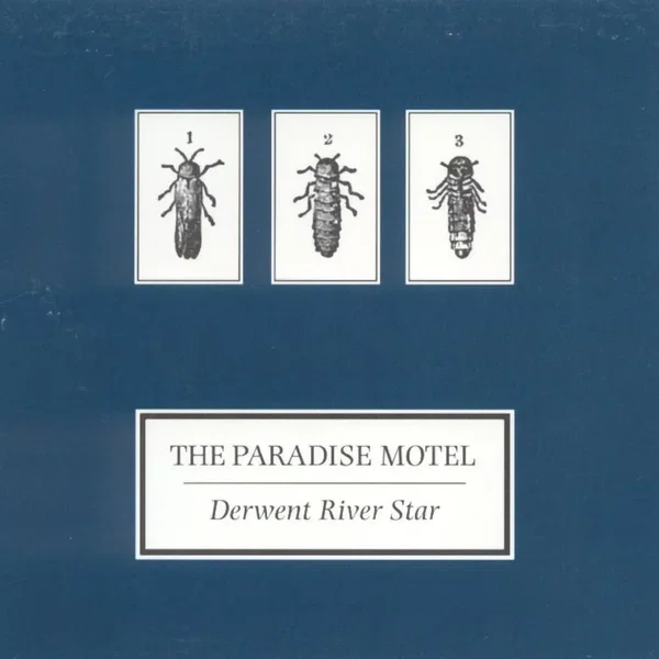 Derwent River Star