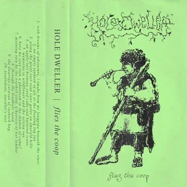 flies the coop by Hole Dweller - album cover