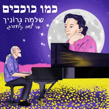 שלמה גרוניך
