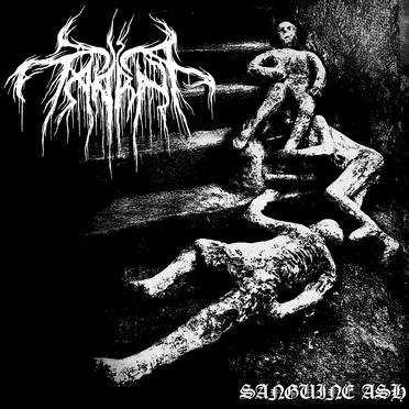 Sanguine Ash