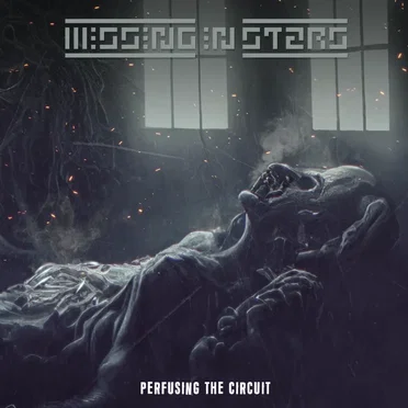 Perfusing the Circuit by Missing in Stars - album cover