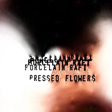 Pressed Flowers by Porcelain Raft - album cover