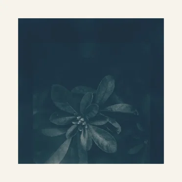 For Muriel by Ishmael Cormack - album cover