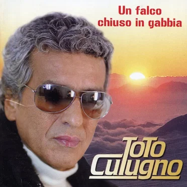 Un falco chiuso in gabbia