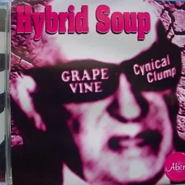 Hybrid Soup