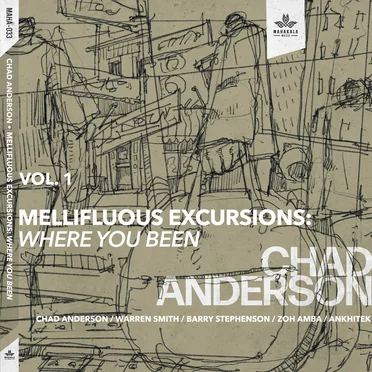 Mellifluous Excursions, Vol. 1: Where You Been by Chad Anderson - album cover