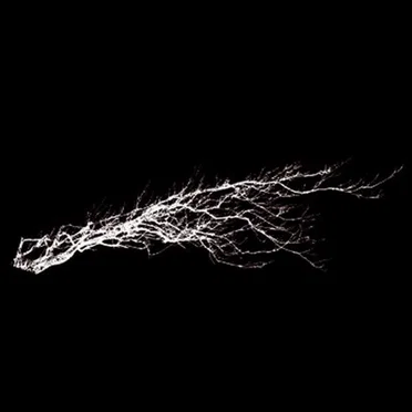 Expériences de Vol #7 - Pure Noise by Various Artists - album cover