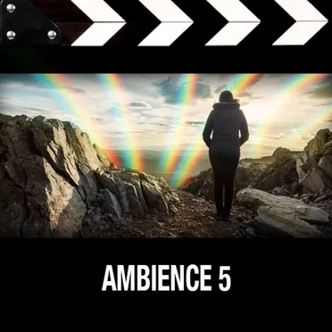Ambience 5 by Various Artists - album cover