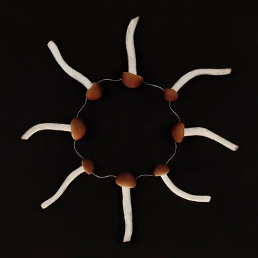 Collective Unconscious