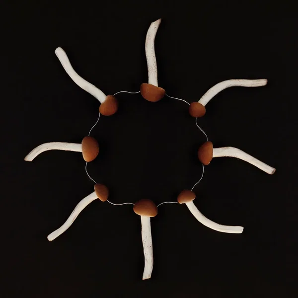 Collective Unconscious