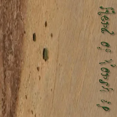 Spore 6, the Sixth: 3°31'32.6"N 37°46'10.5"E
