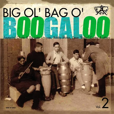 Big Ol' Bag O' Boogaloo, Vol. 2 by Various Artists - album cover