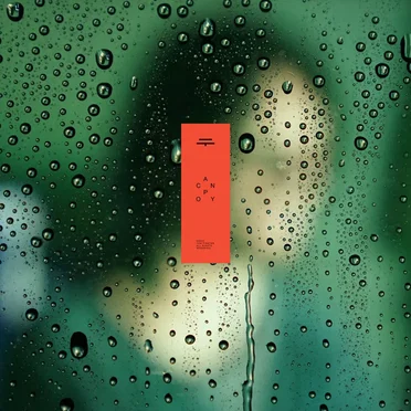 Nothing (Canopy remix)