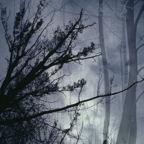 lost melody mantras, vol. 2