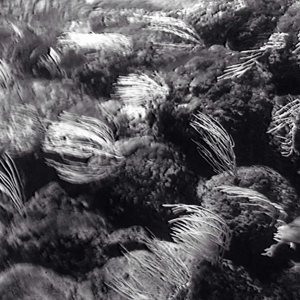 Trying Too Hard (Lullaby)