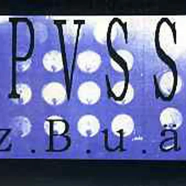 P V S S