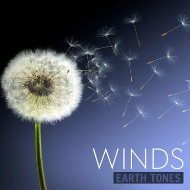 Winds
