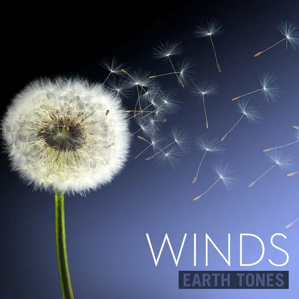 Winds