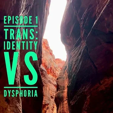 Gender: A Wider Lens #1, “Trans: Identity vs Dysphoria” by Stella O'Malley - album cover