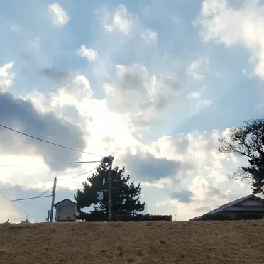SUN → FIELD
