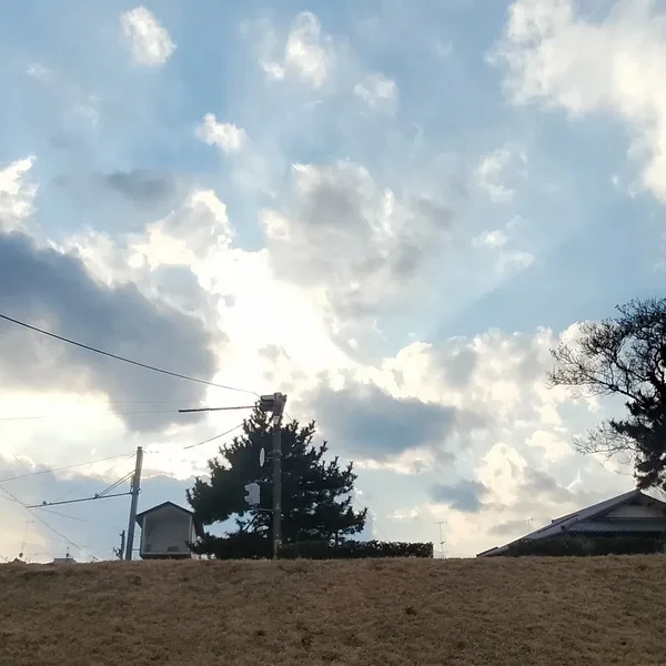 SUN → FIELD