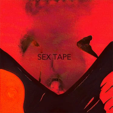 Sex Tape