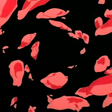 Magnetic Rose EP