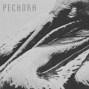 Тёмные Воды by Pechora - album cover