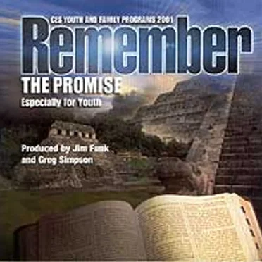 Remember the Promise by Various Artists - album cover