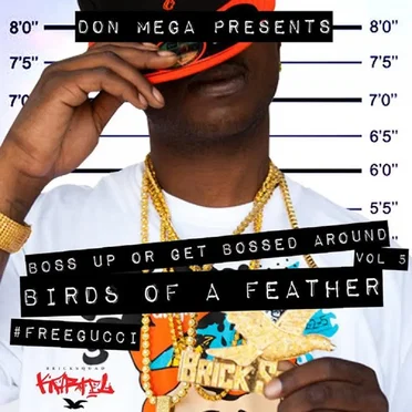 Birds of a Feather by Don Mega - album cover