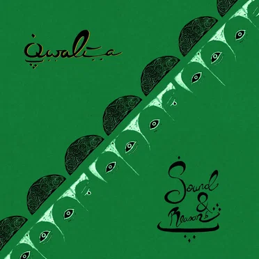 Sound & Reason (radio edit) by Qwalia - album cover