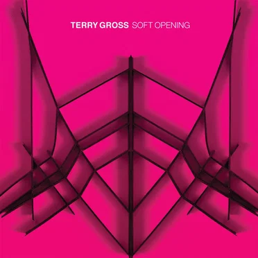 Soft Opening by Terry Gross - album cover