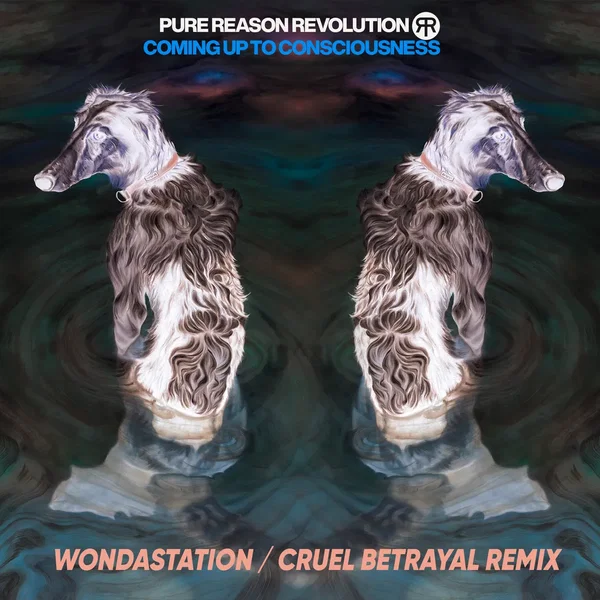 Cruel Betrayal (Wondastation Remix)