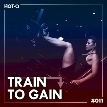 Train To Gain 011 by Various Artists - album cover