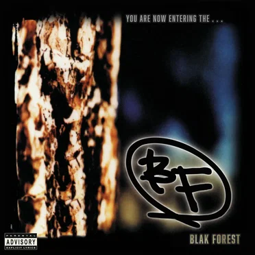 You Are Now Entering... The Blak Forest by Blak Forest - album cover