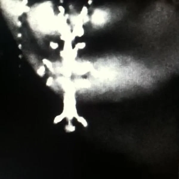 i just wanna be free