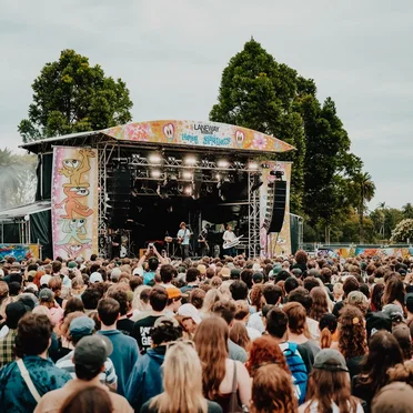 Geese Live at the Wireless